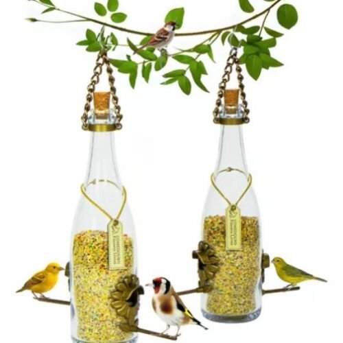 Kit 2 Comedouro Pássaros Livres - Garrafa Champagne Branca