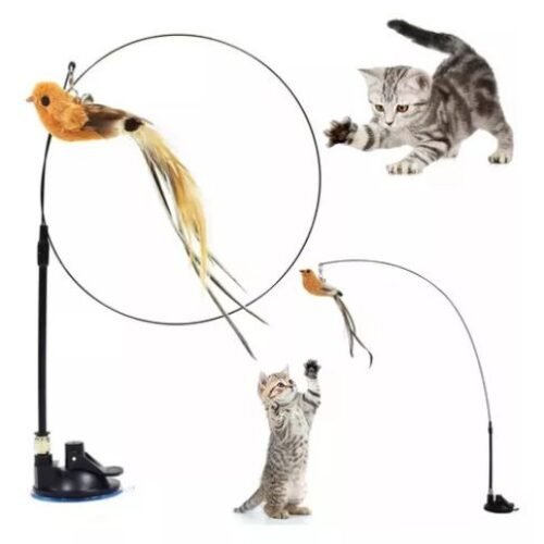 Brinquedo Gato Varinha Pássaro Com Ventosa Fixa Chão Parede Cor Preto