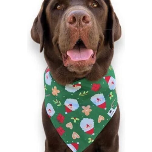 Bandana Para Cachorro Natal Noel