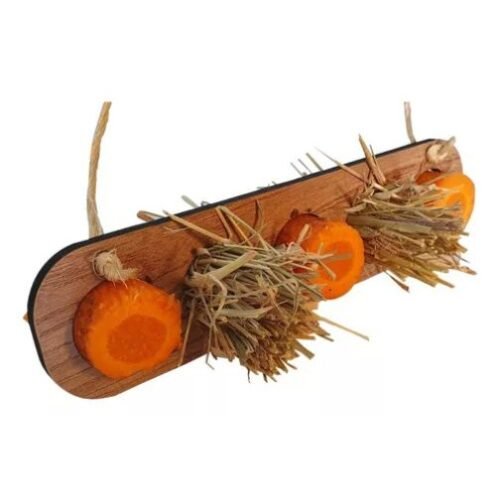 Porta Feno Alfafa E Legumos Para Roedores Hamster Retangular